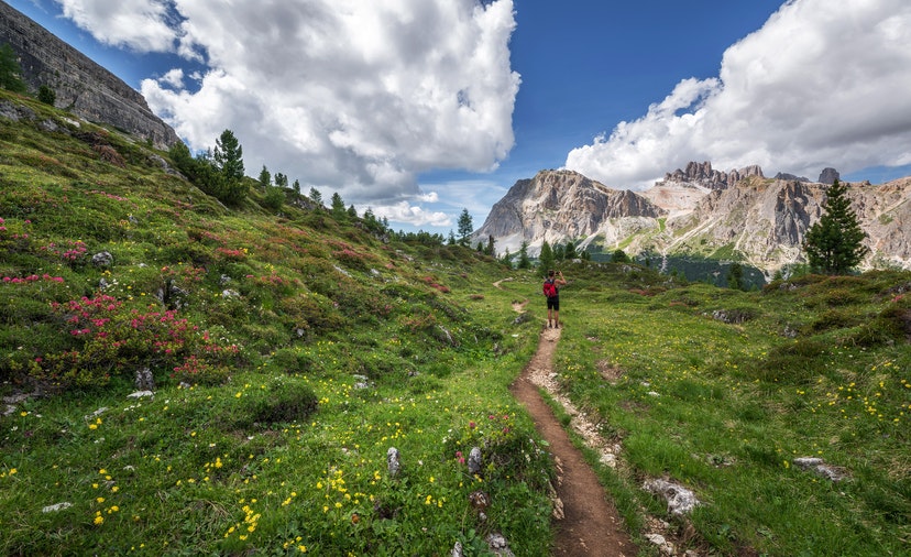 Trekking Ne Demek? 